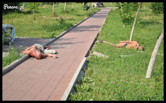 Taka faza że aż chodnik wyrwało