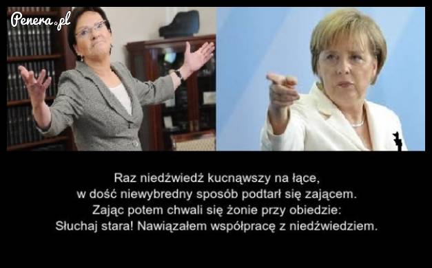 To jest właśnie ta współpraca Kopaczowej z Merkel