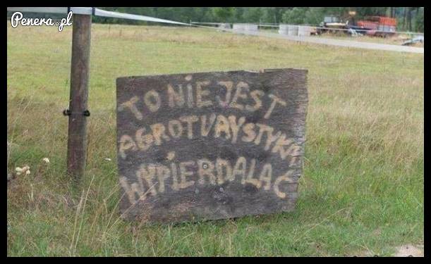 To nie jest agroturystyka!