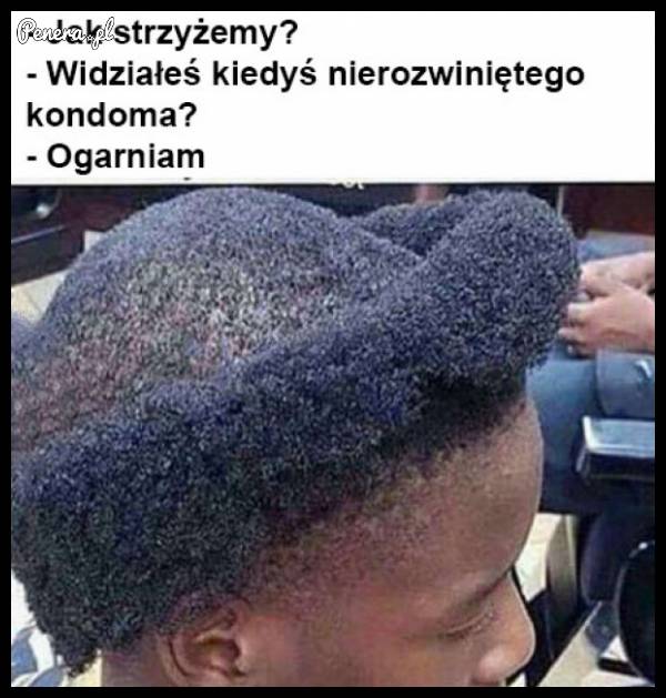 Tymczasem u fryzjera
