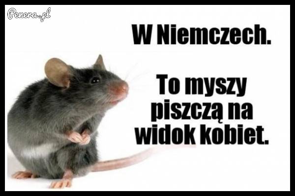 Tymczasem w Niemczech