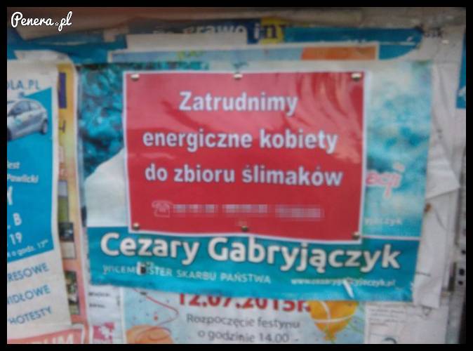 Zatrudnimy energiczne panie