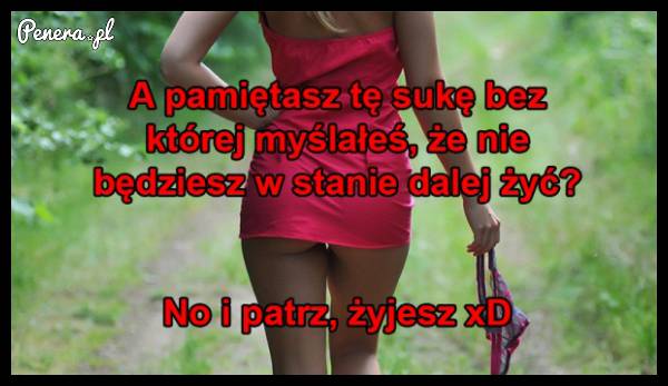 A miało być tak pięknie we dwoje...