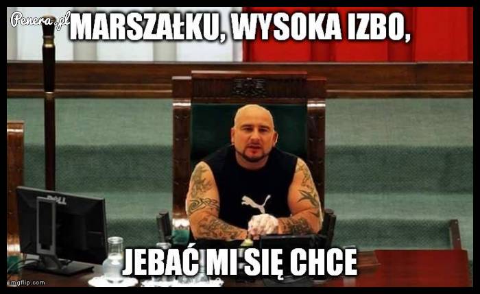 A teraz wyobraźcie sobie Liroya w sejmie