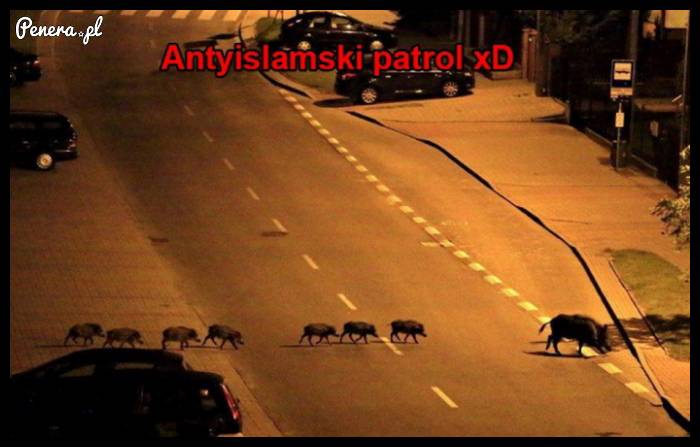 Antyislamskie patrole na ulicach miast :D