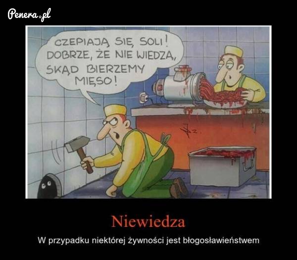 Czasem po prostu lepiej nie wiedzieć co się je
