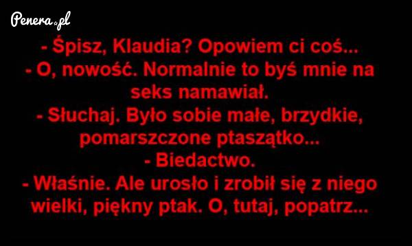 Jak zachęcić laskę do małego bara bara