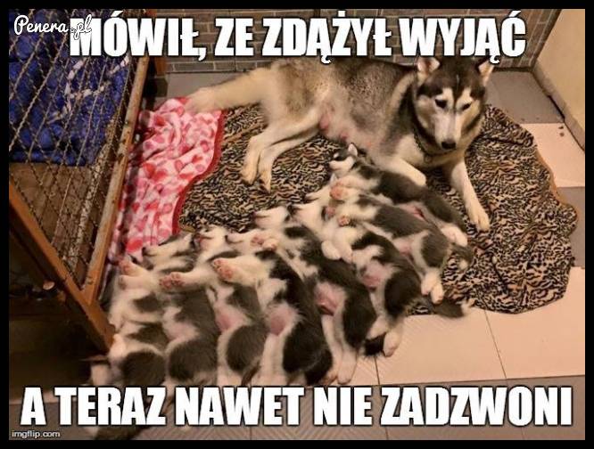 Każdy facet mówi to samo