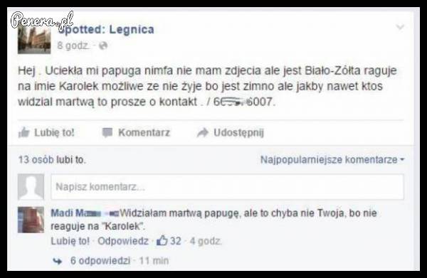 Na szczęście to nie jego papuga