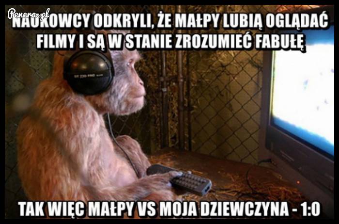 Naukowcy odkryli że mały lubią filmy i potrafią zrozumieć fabułę