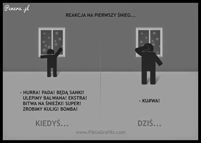 Reakcja na pierwszy śnieg