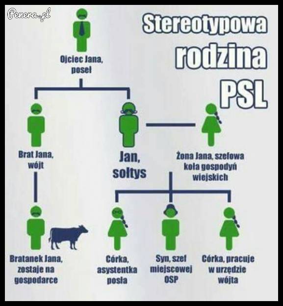 Stereotypowa rodzina PSL
