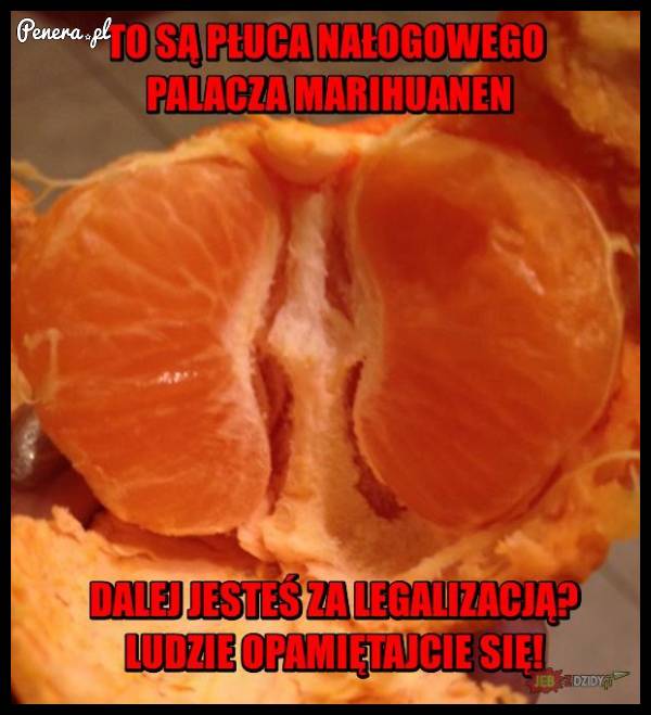 To są płuca nałogowego palacza marihuany