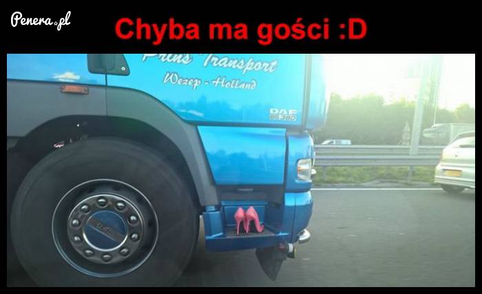 Typek chyba ma gości :D