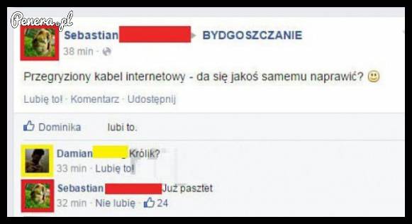 Da się naprawić przegryziony kabel internetowy?