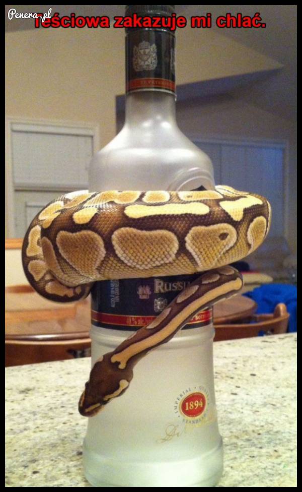 Gdy teściowa zakazuje chlać!