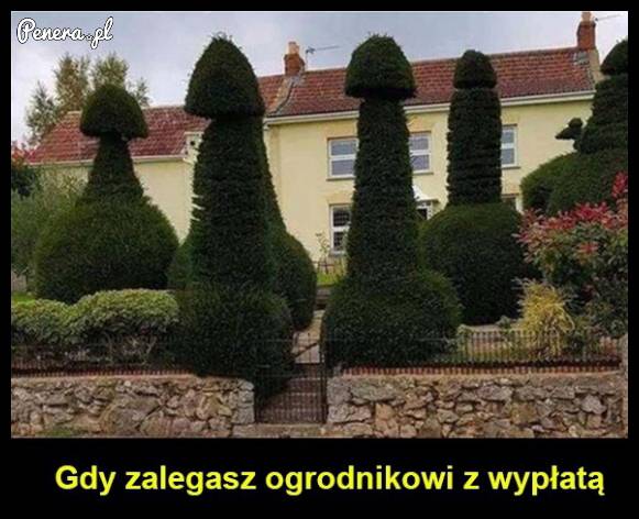 Gdy zalegasz ogrodnikowi z wypłatą