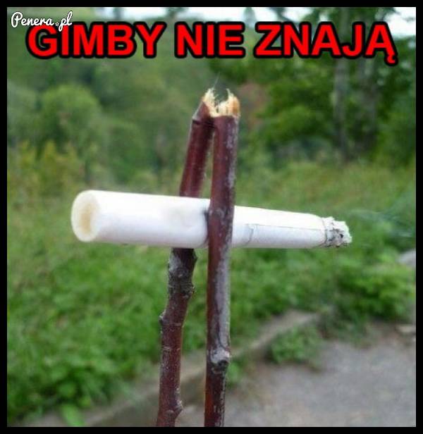Gimby nie znają