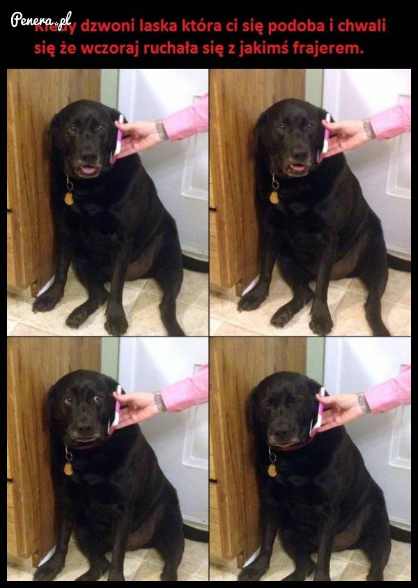 Kiedy dzwoni laska która Ci się podoba Kiedy dzwoni laska która Ci się podoba