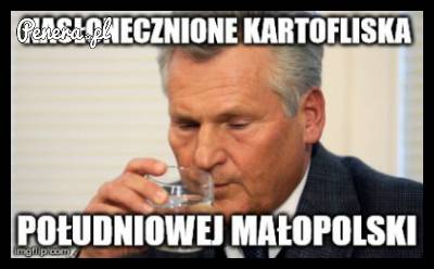 Nasłonecznione kartofliska