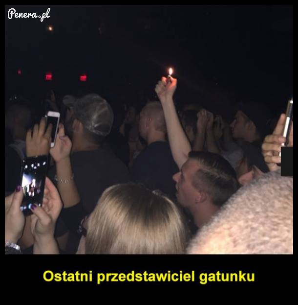 Ostatni przedstawiciel gatunku :D