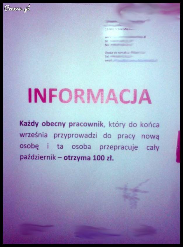 Premia za przyprowadzenie kolejnego pracownika
