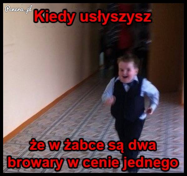 Promocja w Żabie i lecisz jak na skrzydłach!