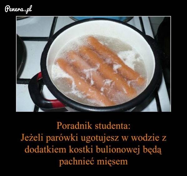 Z serii poradnik Studenta