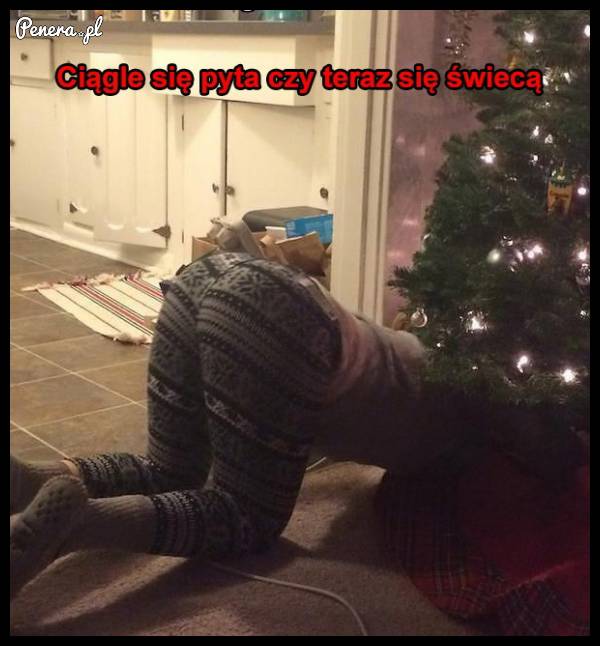 Ciągle pyta się czy świecą