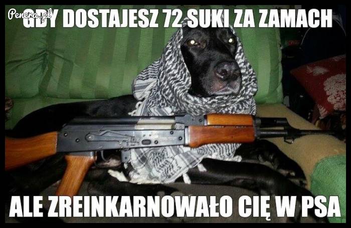 Gdy dostajesz 72 suki za zamach