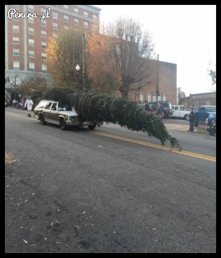 Griswoldowie naprawdę istnieją