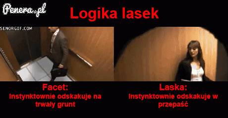 Instynkt facetów kontra instynkt kobiet