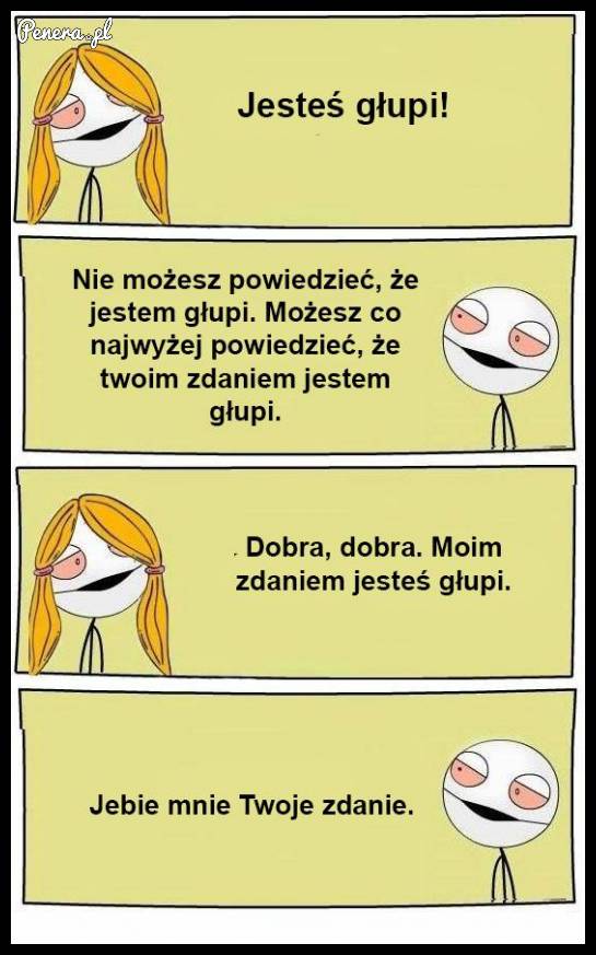 Jesteś głupi!