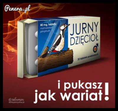 Jurny dzięcioł!