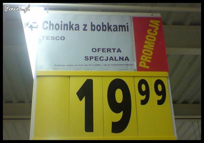 Ktoś chętny na choinkę z bobkami?