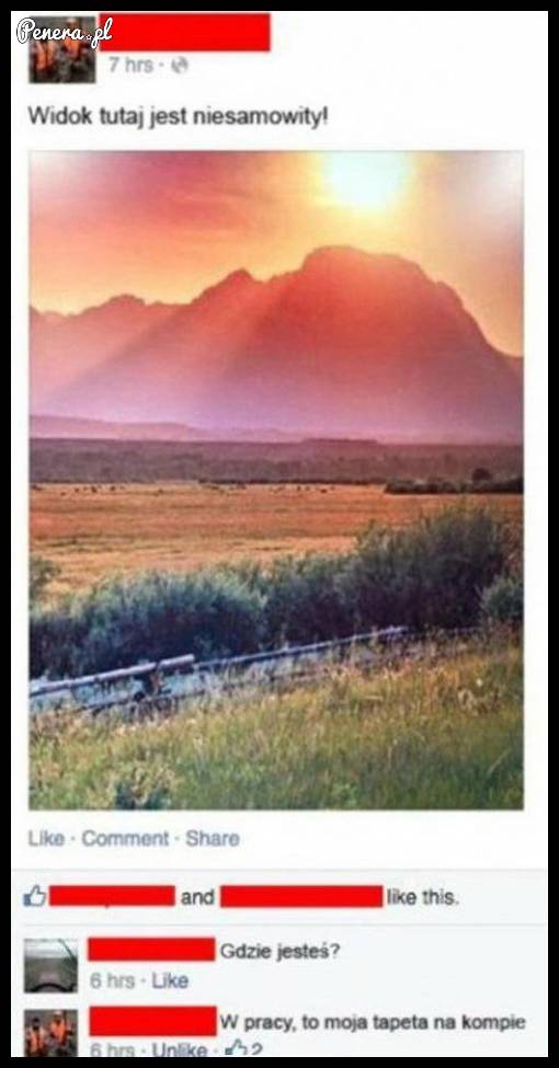 Nic tylko pozazdrościć takiego widoku