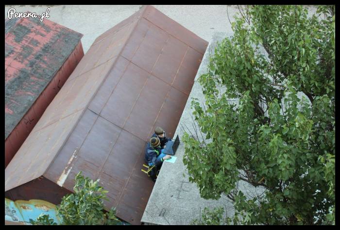 Tak wyglądają współczesne wagary