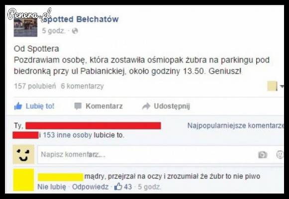 Ten pozostawiony Żubr to nie był przypadek