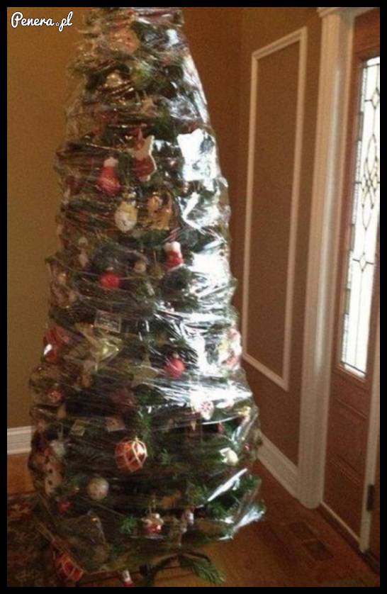 U mnie choinka ubrana już od zeszłych świąt