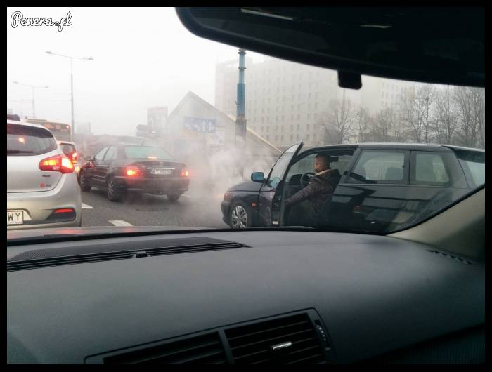 Zapach Alfy o poranku