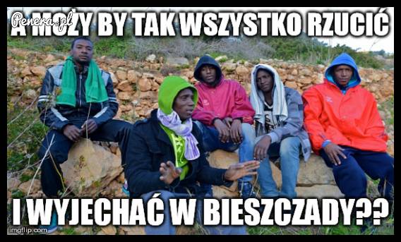 A może by tak wszystko rzucić