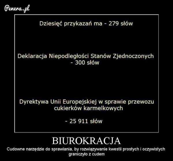 Biurokracja - czyli to co urzędnicy lubią najbardziej