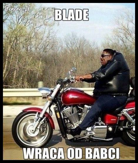 Blade wraca od Babci :D