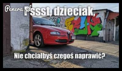 Bo Alfy właśnie takie są