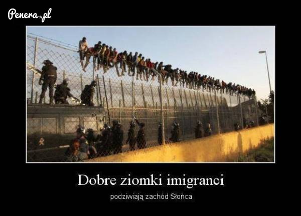 Dobre ziomki imigranci