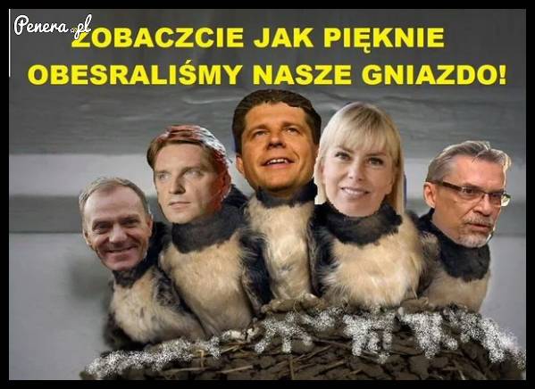 Dumni z siebie bo nasrali we własne gniazdo
