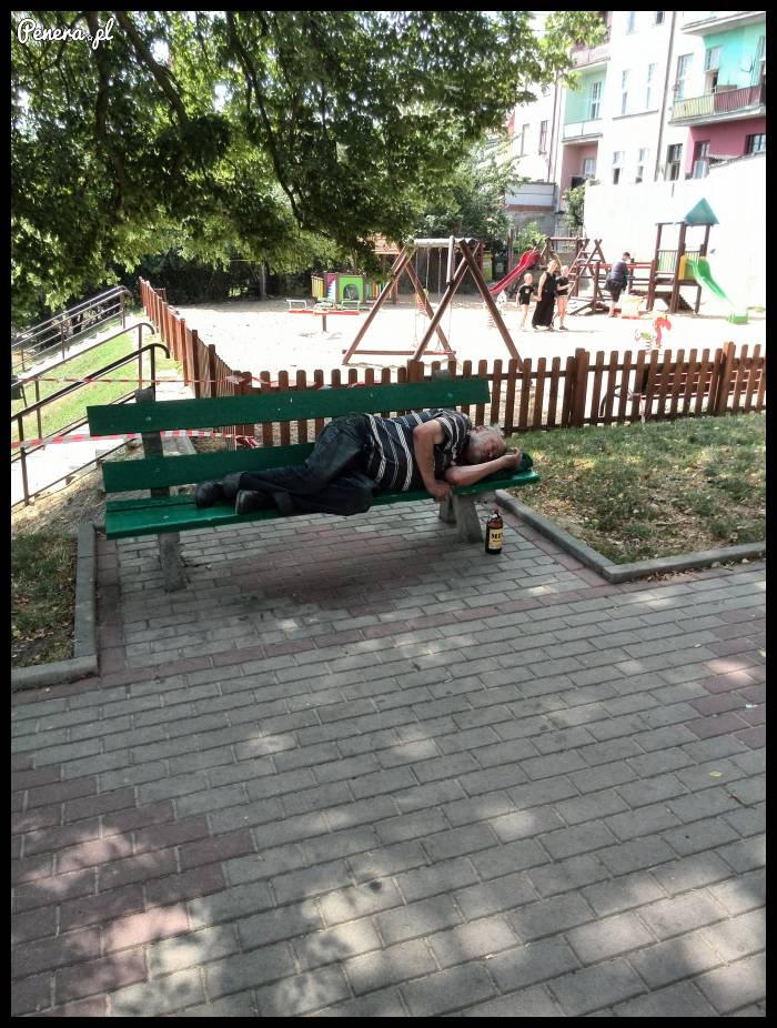 plac zabaw i edukacji ...