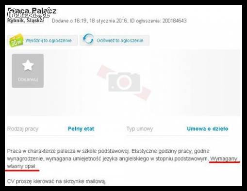 Praca palacza - wymagany własny węgiel Praca palacza - wymagany własny węgiel