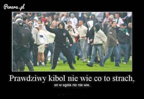 Prawdziwy kibol nie wie co to strach