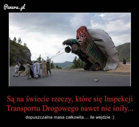 Są na świecie rzeczy które się Inspekcji Transportu Drogowego nawet nie śniły